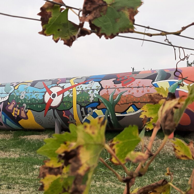 La Gnomovia – Fantasia tra le colline del Moscato